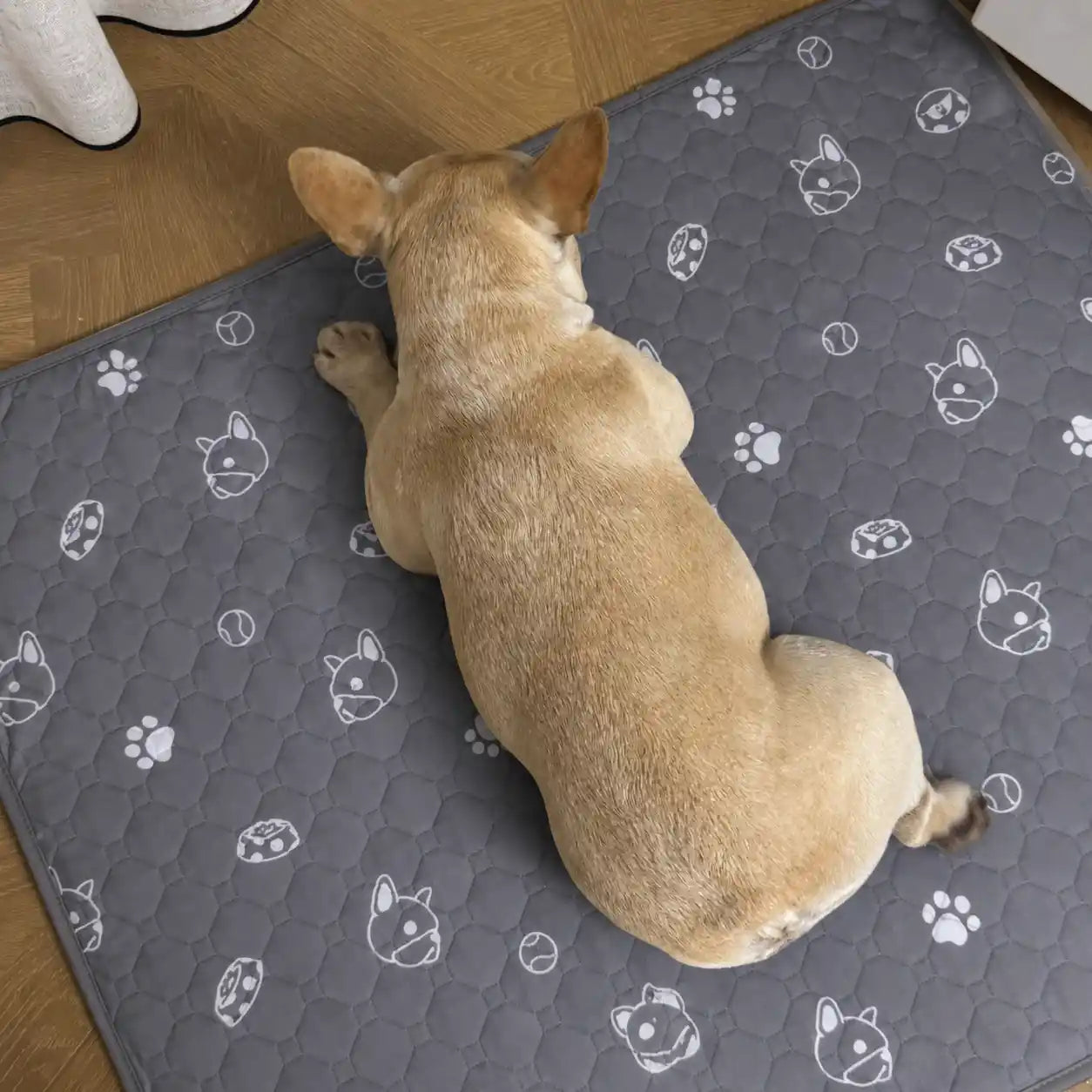 no-repeat center / cover
url('https://cdn.shopify.com/s/files/1/1011/8840/3547/files/gris_bulldog_2_webp.webp?v=1783676193')
