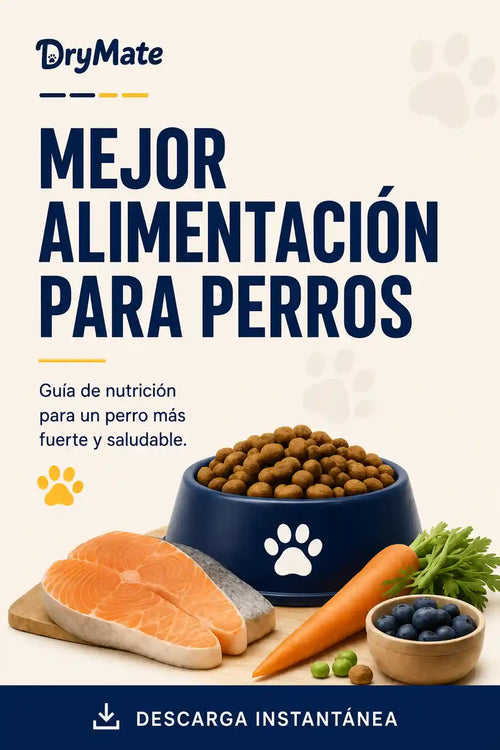 Ebook Guía Alimentación Para Perros