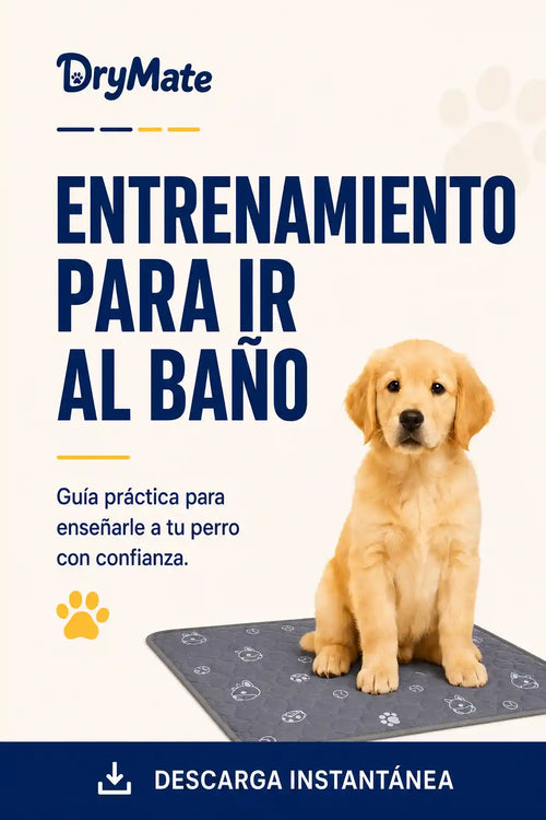 Ebook Entrenamiento Para Ir Al Baño